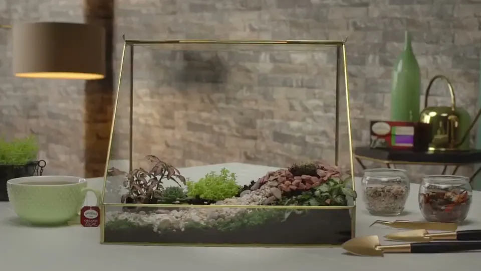 Video Terrarios con frases de Twinings